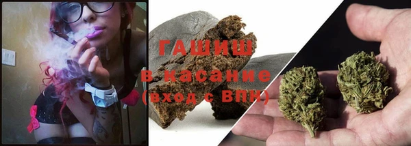 дмт Алзамай