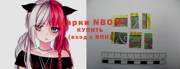 дмт Алзамай