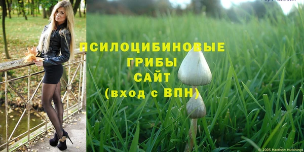 дмт Алзамай