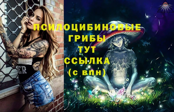 меф Алексин