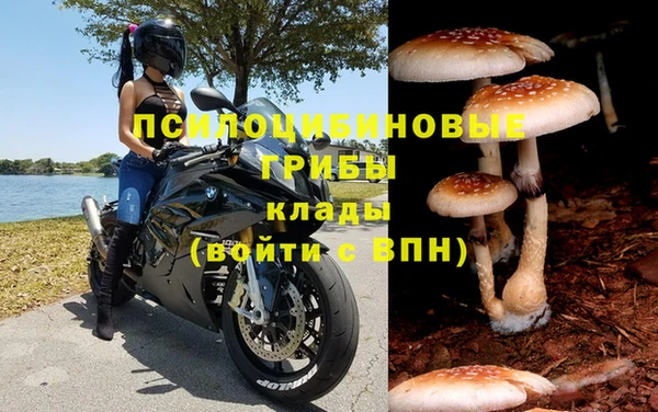 дмт Алзамай